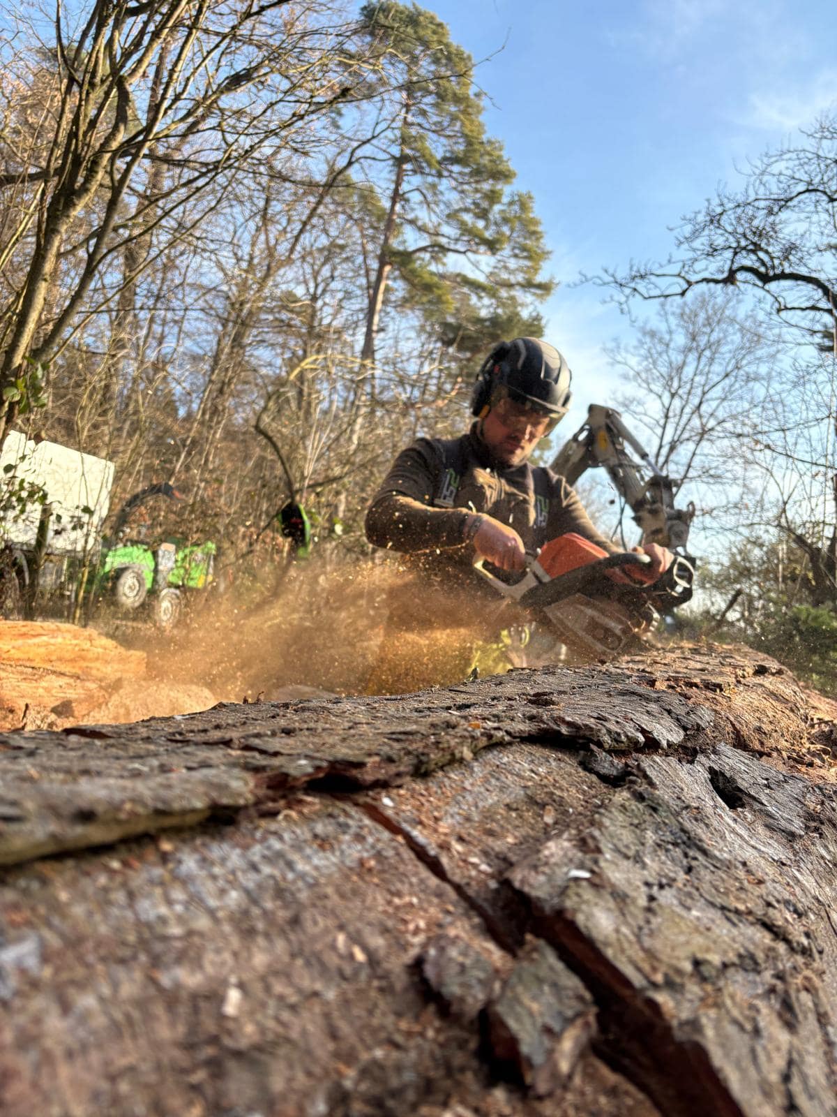 Baumfällung mit der Kettensäge — LumberLex im Einsatz
