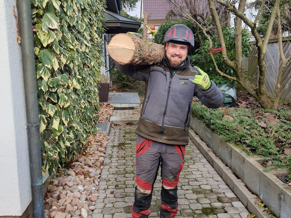 Baumfällung und Abtransport