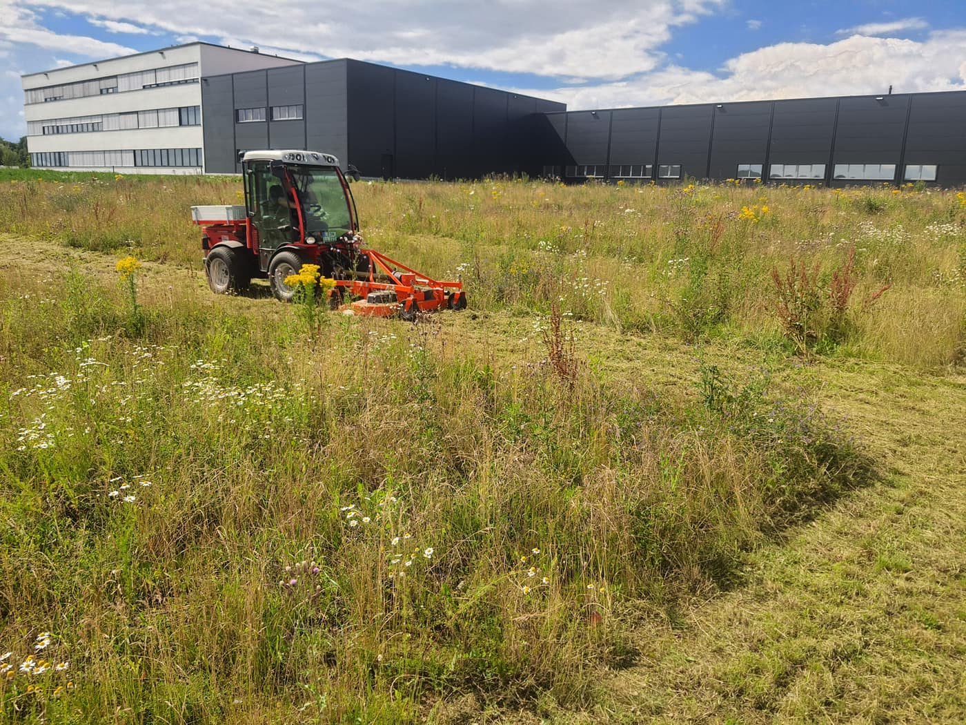 Großflächenmahd und Landschaftspflege durch LumberLex