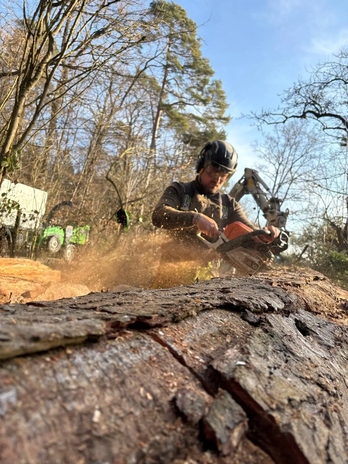 Baumfällung mit der Kettensäge — LumberLex im Einsatz